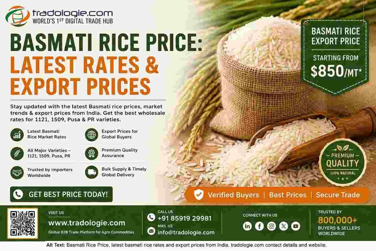 Lucknow, Farm & Garden, INR 25,  Basmati Rice Price: Latest Rates & Export Prices