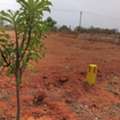 INR 11999,  220 Sq. Yard,  Dtcp Approved Low Budget Approved Plots Near Srisailam Highway & Sagar Highway
