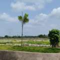 INR 35000,  167 Sq. Yard,  HMDA & RERA APPROVED Open Plots For Sale @ Adibatla