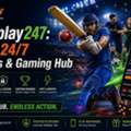 Fairplay247: Your 24/7 Sports & Gaming Hub