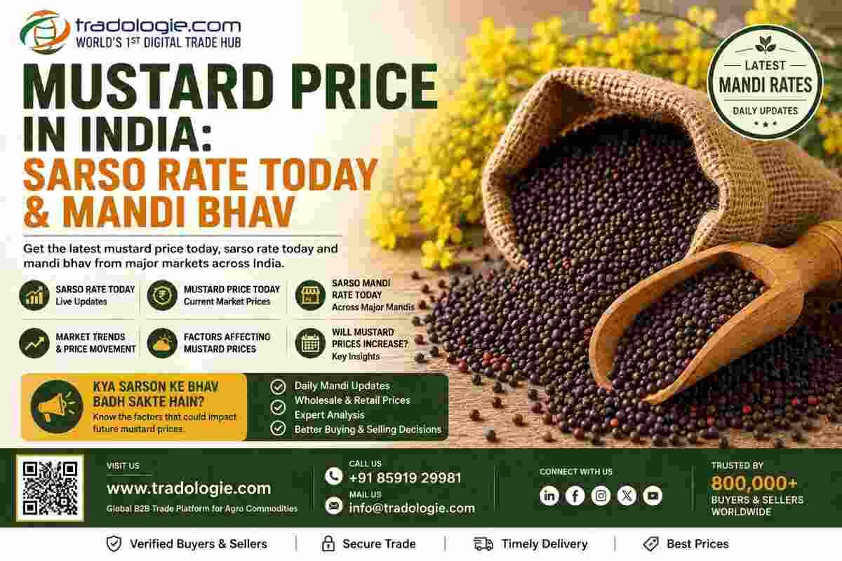 Lucknow, Food, INR 25,  Mustard Price In India: Sarso Rate Today & Mandi Bhav