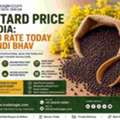 INR 25,  Mustard Price In India: Sarso Rate Today & Mandi Bhav