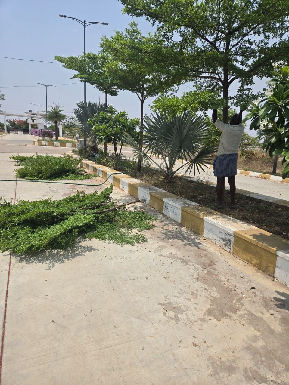 Hyderabad, Residential Plots, INR 23999,  250 Sq. Yard,  Commercial Open Plots For Sale Near Mansanpally And Ameerpet Village