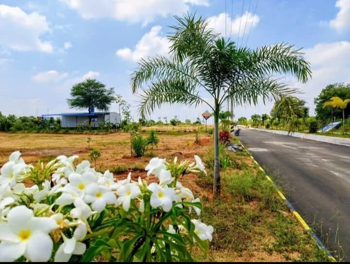 Hyderabad, Residential Plots, INR 12500,  165 Sq. Yard,  DTCP RERA Approved Plots In Future City