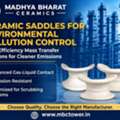 Ceramic Saddles Supplier In India For Industrial Gas Scrubber Systems