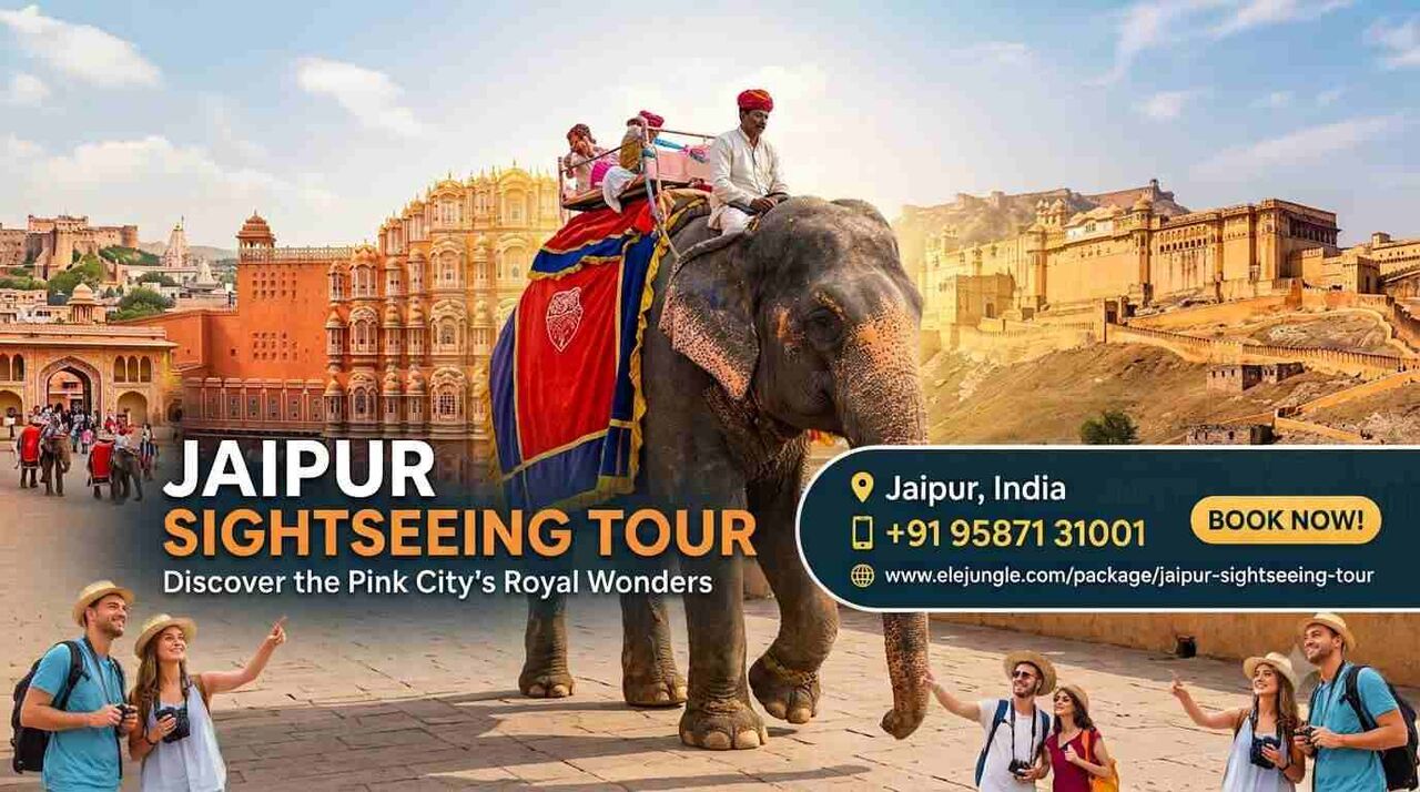 Jaipur, Travel, Royal Wonders Of The Jaipur Sightseeing Tour