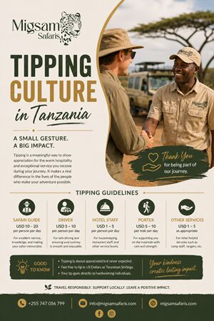 Dar es Salaam, Travel, Tipping Culture In Tanzania With Migsam Safaris