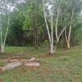 THB 280000,  6 BR,  49873 Sq. Feet,  Please Leave Good Assets For Consideration. Beautiful Land For Sale Next To The Mountain