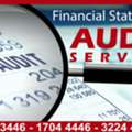 Financial Statement Audit Service