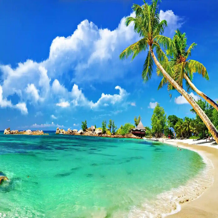 Washington DC, Food & Drink, Goa Tour Packages &ndash; Best Deals, Book Today