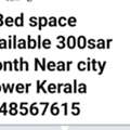 SAR 300/month,  2 Bed Space  (only Kerala )
