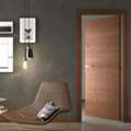 Flush Door Options For Residential And Commercial Spaces