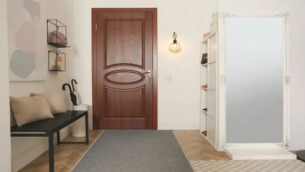 Mumbai, Furniture, Flush Door Options For Residential And Commercial Spaces