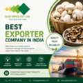 Best Exporter Company In India | Glee Impex &ndash; Premium Mushroom & Agro Food Exports