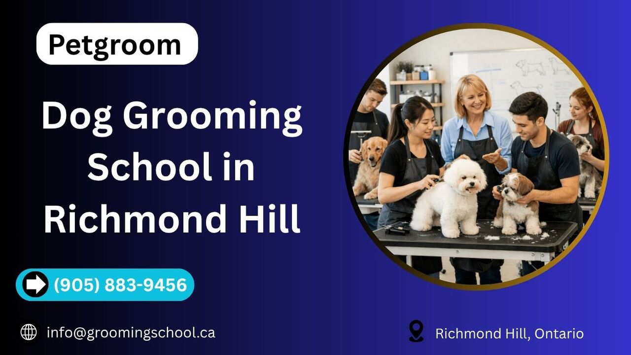 Toronto, Pet Sitting, Dog Grooming School In Richmond Hill | Professional Training By Petgroom