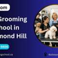 Dog Grooming School In Richmond Hill | Professional Training By Petgroom