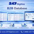 B2B Database Solutions For Organized Business Information
