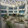 SAR 1500,  5000 Sq. Meter,  Furnished Office Spaces For Rent