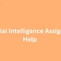 What Makes Artificial Intelligence Assignment Help Essential For Students?