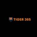 Tiger365 Login
