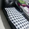 SAR 50,  Sofa