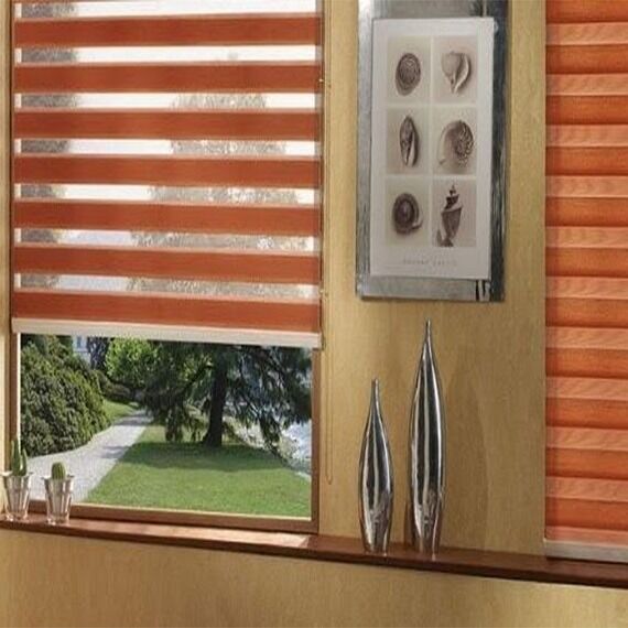 New Delhi, Furniture, Modern Zebra Blinds Curtains For Modern Homes