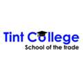 Window Tint Hands-On Training | Learn Professional Tint Installation Skills