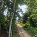 THB 500000,  6 BR,  1235 Sq. Feet,  Please Leave Good Assets For Consideration. Land Next To A Stream For Rent Next To The