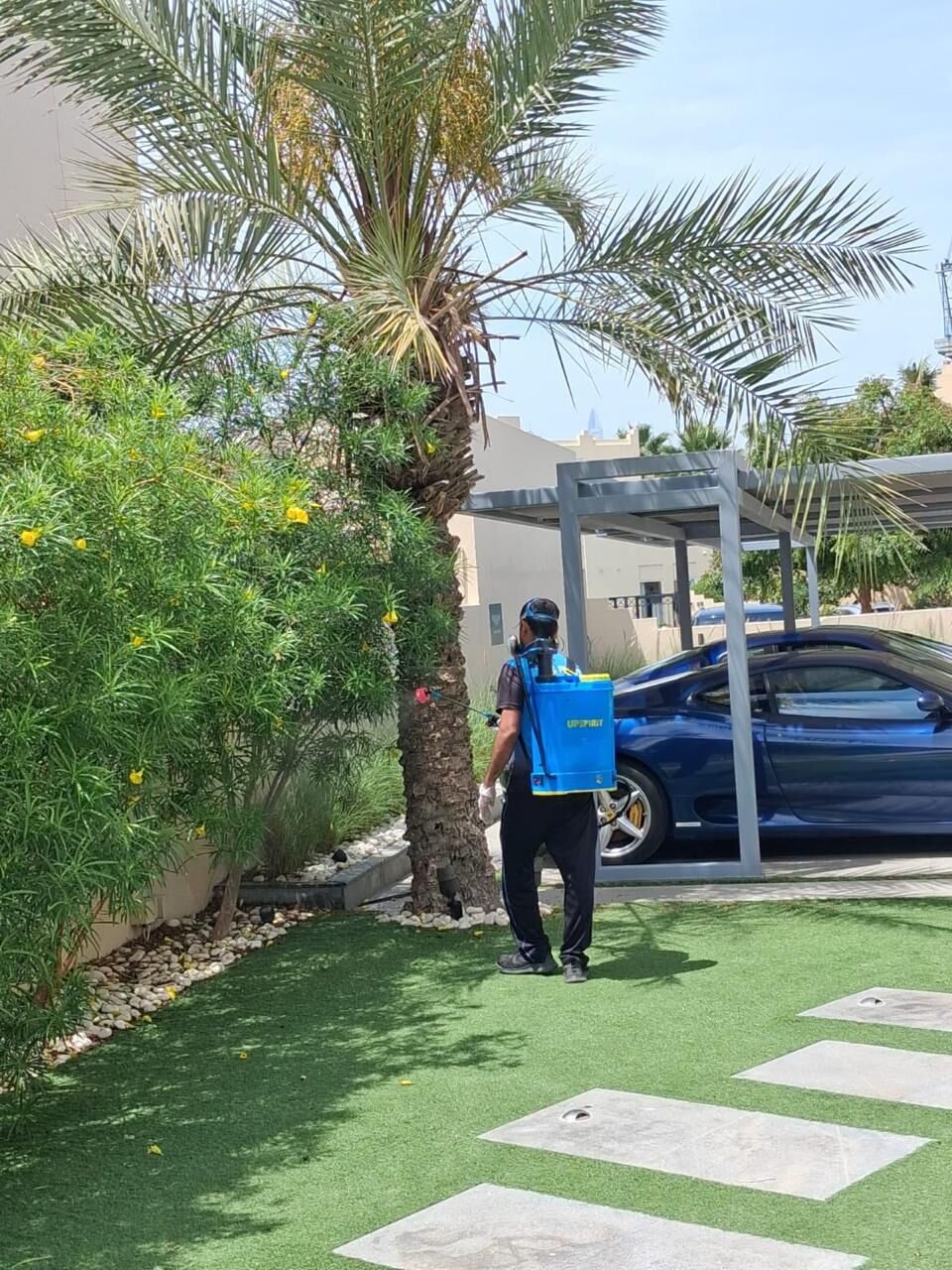 Discovery Gardens, Pest Control, Pest Control Services Discovery Gardens Dubai &ndash; Lowest Price