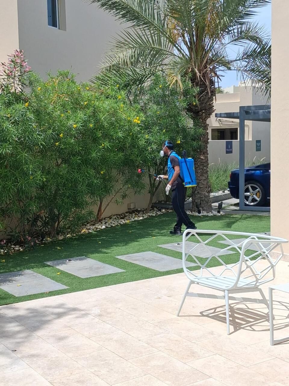 Discovery Gardens, Pest Control, Pest Control Services Discovery Gardens Dubai &ndash; Lowest Price