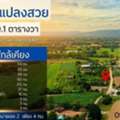 THB 1900000,  6 BR,  539 Sq. Feet,  Beautiful Plot Of Land For Sale, Sikhio District, Nakhon Ratchasima Province, Area 1 Rai