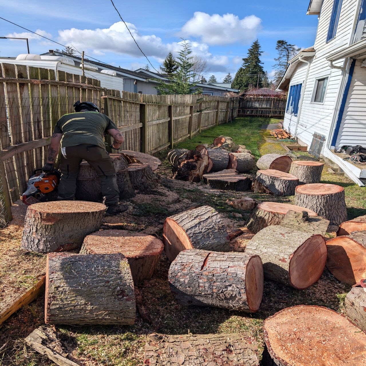 New York, Business, Arbor Vet Tree Service