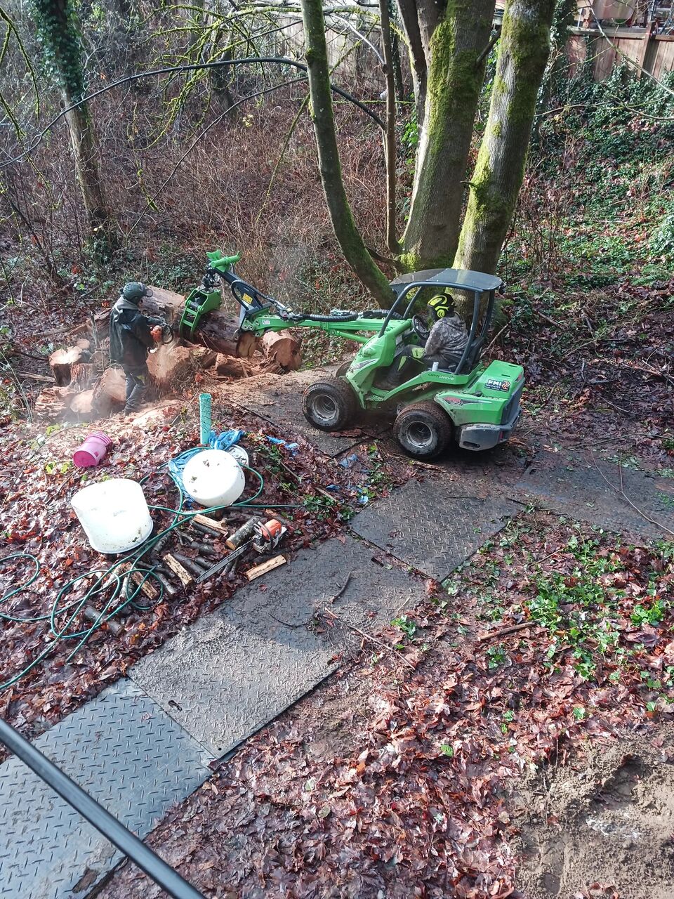 New York, Business, Arbor Vet Tree Service