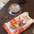 BHD 40,  Beautiful & Friendly Male Shih Tzu For Adoption/Sale &ndash; BD 40: Looking For A Loving And Car