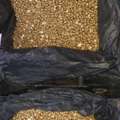 Selling Gold And Bank Notes