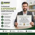 Experience Certificate Services For Professionals In Punjab
