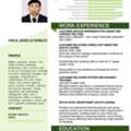 I Am Looking For A Job, A Visa Holder As Well.