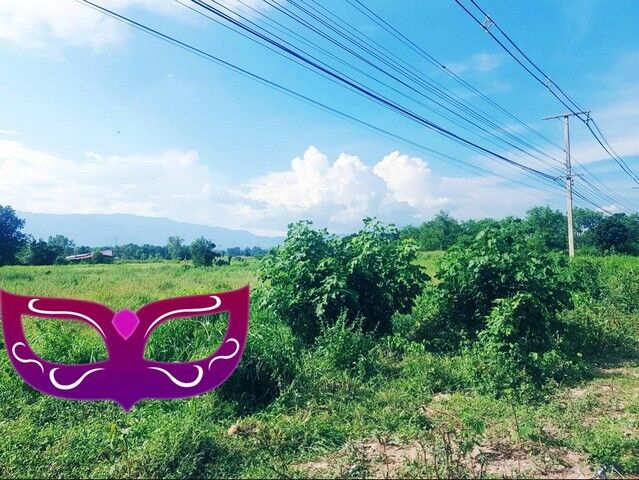 Bangkok, Real Estate For Sale, THB 1800000,  6 BR,  1340 Sq. Feet,  ฝากทรัพย์ดีดีไว้ให้พิจารณานะคะ ท