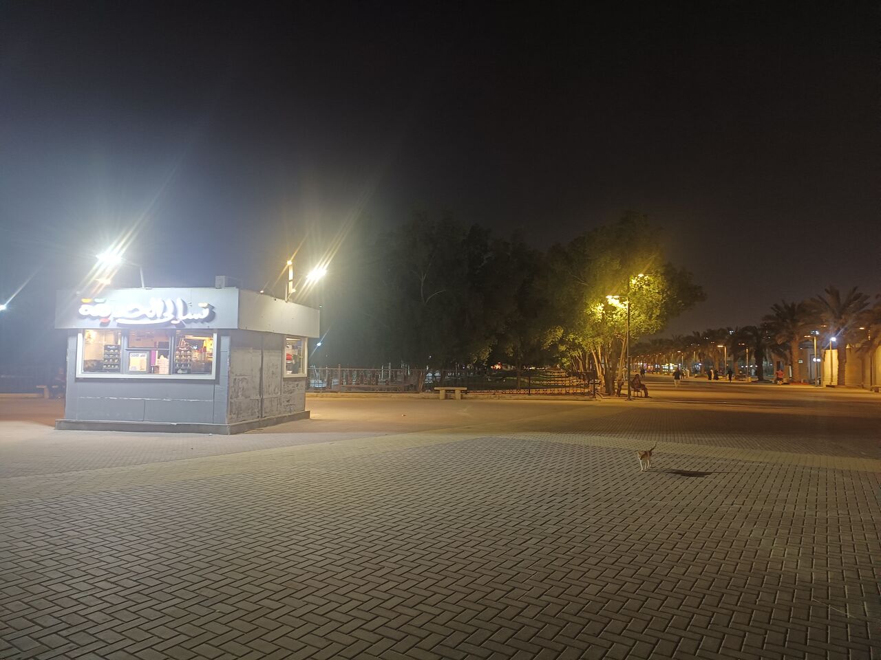Riyadh, Bedspace For Rent, SAR 500/month,  Bed Space