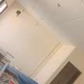 Painter With Good Knowledge
