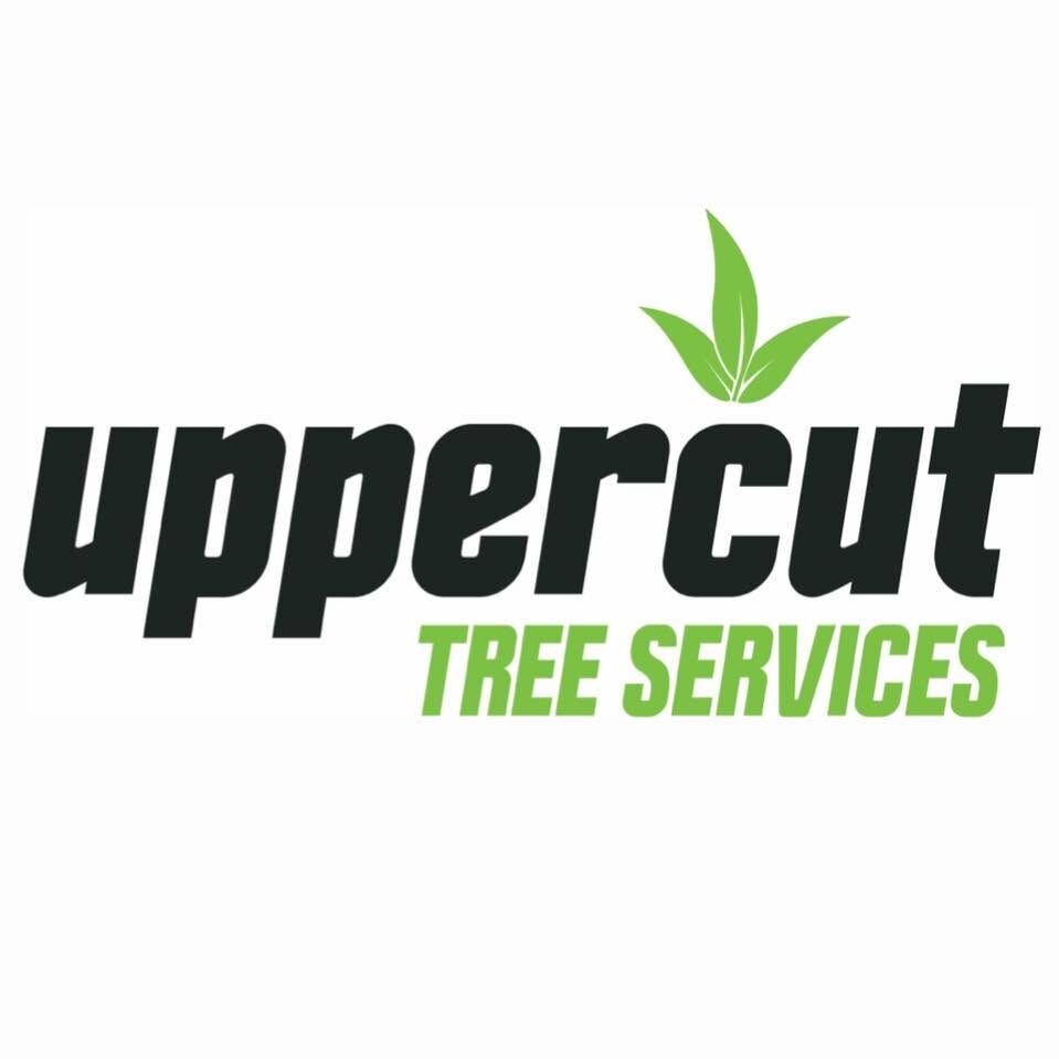 Sydney, Farm/Garden, Uppercut Tree Services