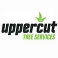 Uppercut Tree Services