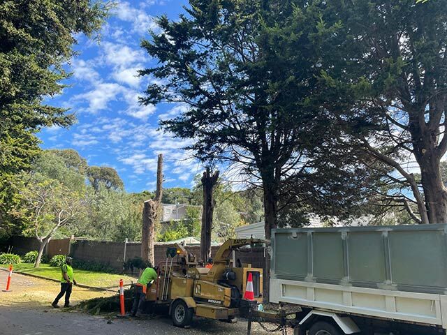 Sydney, Farm/Garden, Uppercut Tree Services