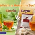INR 170,  Stevia Vs Sugar In Tea: Benefits, Differences And Which To Choose