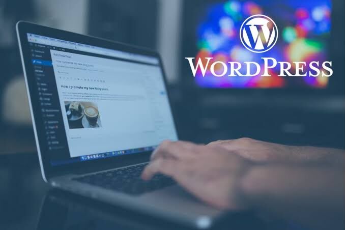 Chandigarh, Marketing, Skilled WordPress Web Developer Perth For Professional Business Websites