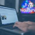 Skilled WordPress Web Developer Perth For Professional Business Websites