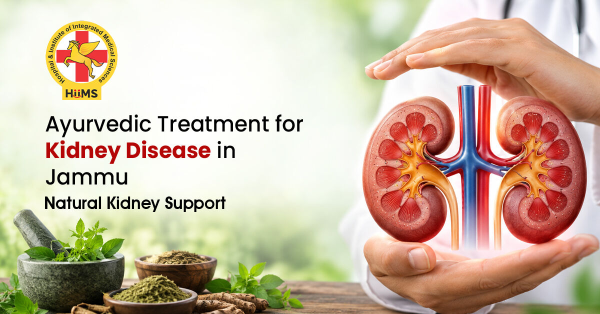 Mumbai, Health, Ayurvedic Treatment For Kidney Disease In Jammu | Natural Kidney Support