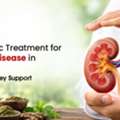 Ayurvedic Treatment For Kidney Disease In Jammu | Natural Kidney Support