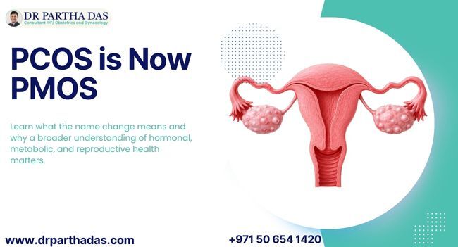 Dubai, Health, PCOS Is Now PMOS: A Broader Health Perspective