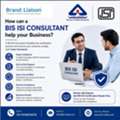 How Can A BIS ISI Consultant Help Your Business?